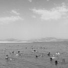 The Dead Sea